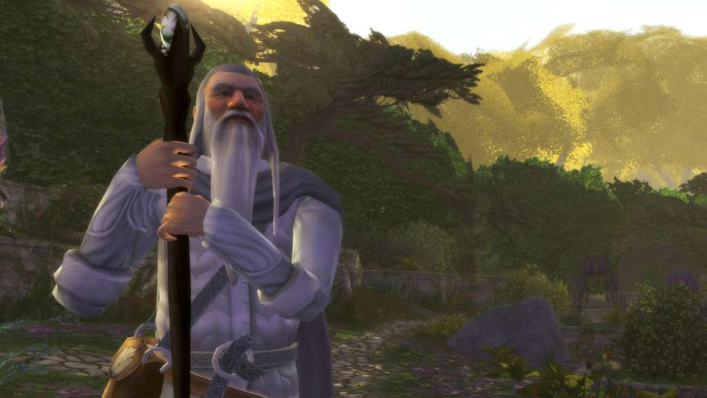 The Lord of the Rings Online 800 LOTRO Point EU Code