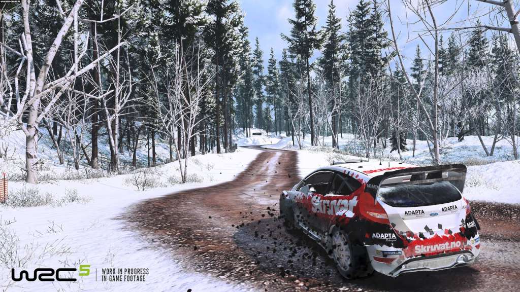 WRC 5 - FIA World Rally Championship - Day One Edition Steam CD Key