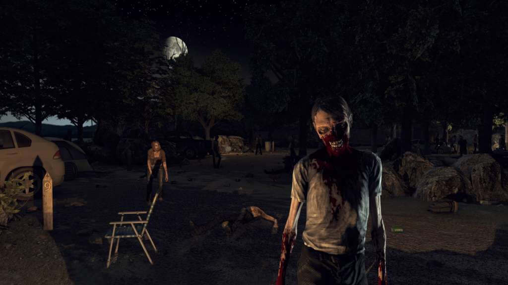 The Walking Dead: Survival Instinct Steam Gift