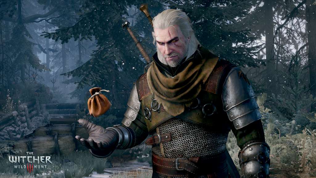 The Witcher 3: Wild Hunt - Expansion Pass GOG CD Key