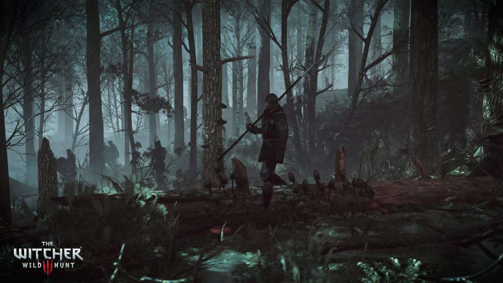 The Witcher 3: Wild Hunt - Hearts of Stone DLC EU PS4 CD Key