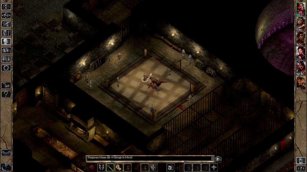 Baldur's Gate II: Enhanced Edition Steam Gift