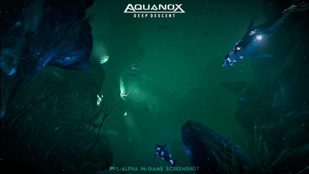 Aquanox Deep Descent Collector's Edition Steam CD Key