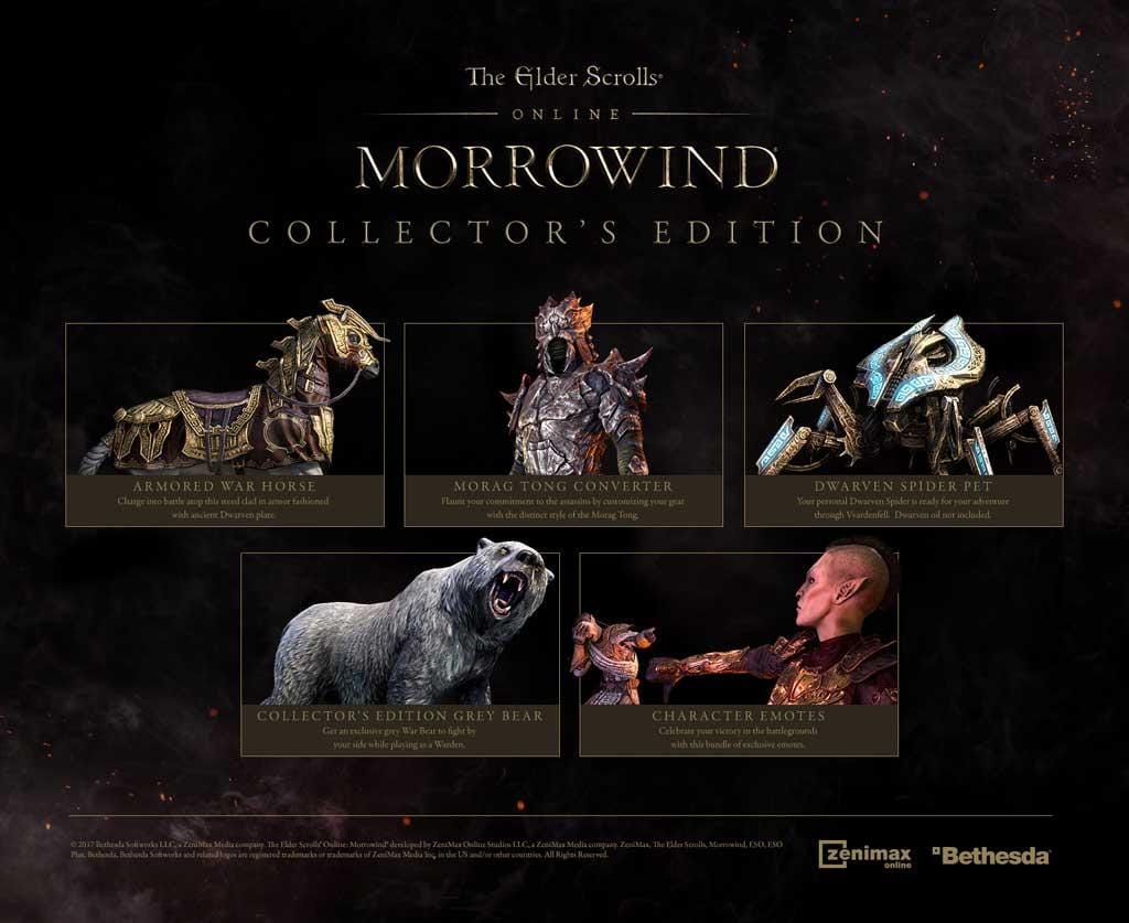 The Elder Scrolls Online: Morrowind Digital Collector’s Edition Upgrade Digital Download CD Key