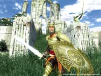 The Elder Scrolls IV: Oblivion GOTY Edition Deluxe Steam CD Key - 3