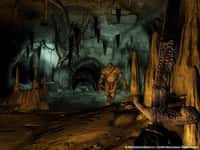 The Elder Scrolls IV: Oblivion GOTY Edition Deluxe Steam CD Key - 4