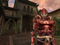 The Elder Scrolls III Morrowind GOTY Steam CD Key - 6