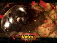 Warcraft 3 BattleChest EU Battle.net CD Key - 6