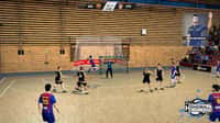 IHF Handball Challenge 12 Steam CD Key - 6
