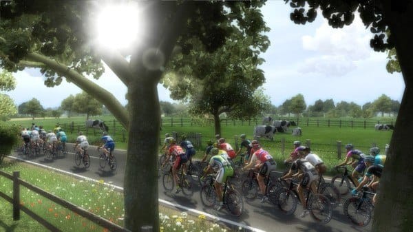 Pro Cycling Manager 2021 Steam Altergift