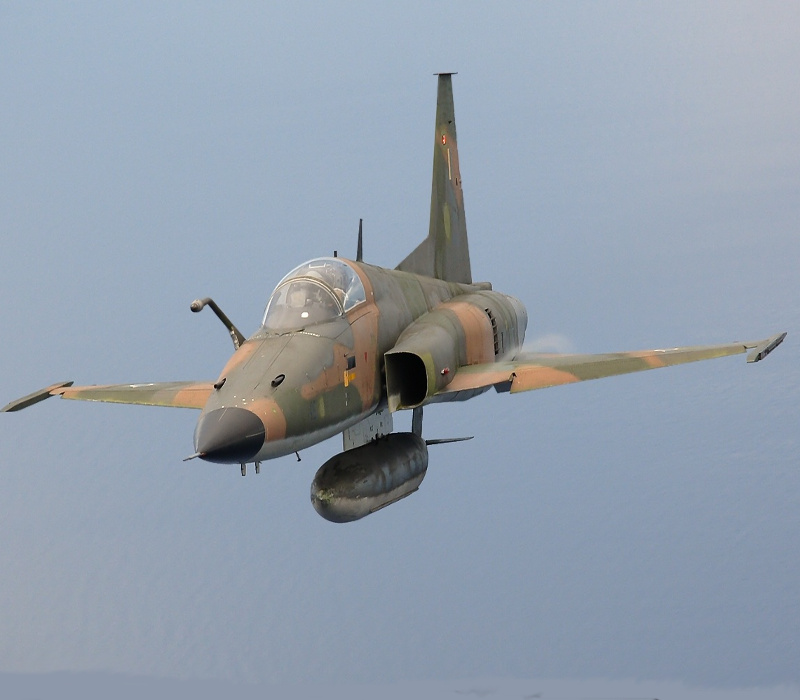 DCS: F-5E Tiger II Digital Download CD Key