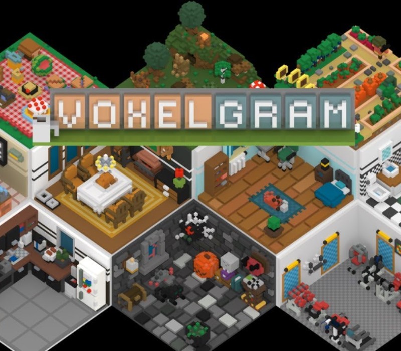 Voxelgram Steam