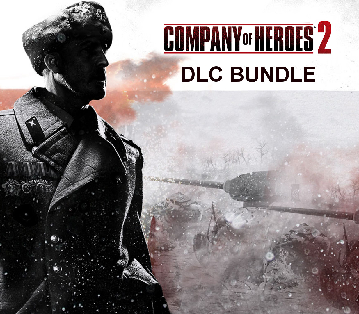 

Company of Heroes 2 - 45 DLC Pack RoW Steam CD Key