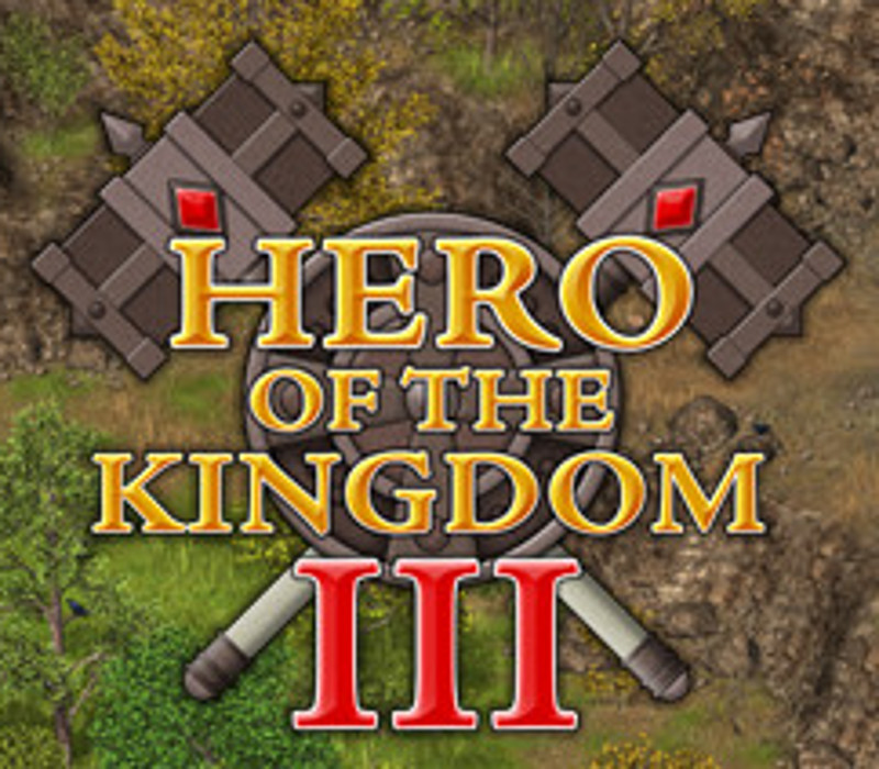 

Hero of the Kingdom III EU PC Steam CD Key