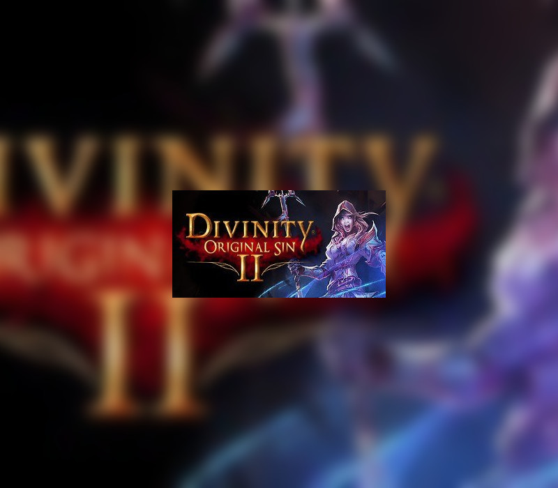 Divinity: Original Sin 2 Eternal Edition Steam Account