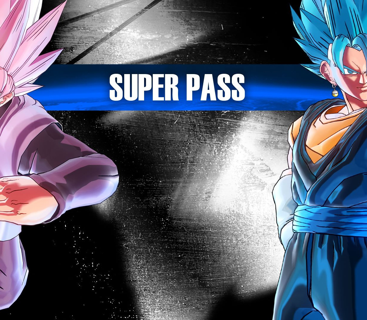 Dragon Ball Xenoverse 2: Super Pass (DLC) STEAM DLC digital for Windows