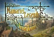 Namariel Legends: Iron Lord Premium Edition Steam CD Key