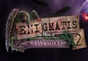 Enigmatis 2: The Mists Of Ravenwood Steam CD Key