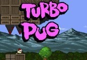 Turbo Pug Steam CD Key