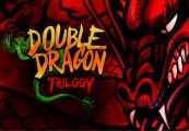 Double Dragon Trilogy Steam CD Key
