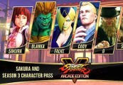 Street Fighter V - Season 3 Character Pass Steam CD Key