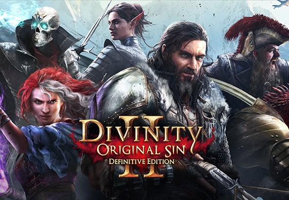 Divinity: Original Sin 2 Definitive Edition PlayStation 4 Account Pixelpuffin.net Activation Link