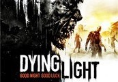 Dying Light ROW Steam CD Key