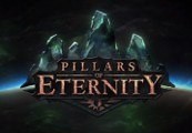 Pillars Of Eternity Hero Edition EU Steam CD Key