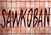SAWkoban Steam CD Key screenshot 2