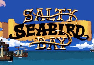 Salty Seabird Bay Steam CD Key