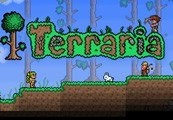 Terraria Steam CD Key