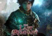 The Last Remnant Steam CD Key