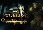 Two Worlds II -  Call of the Tenebrae DLC Steam CD Key