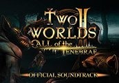 Two Worlds II - Call of the Tenebrae Soundtrack DLC Steam CD Key