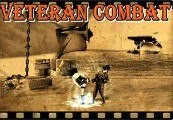 Veteran Combat Steam CD Key