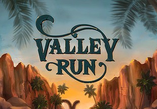 Valley Run Steam CD Key
