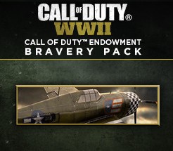 Call Of Duty: WWII - Call Of Duty Endowment Bravery Pack DLC Steam CD Key