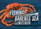 Fishing: Barents Sea - King Crab DLC Steam CD Key