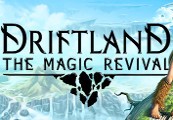 Driftland: The Magic Revival EU Steam CD Key