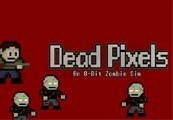 Dead Pixels Steam CD Key