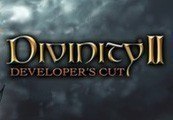 Divinity II: Developer's Cut Steam CD Key