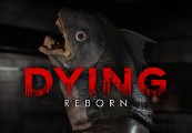 DYING: Reborn Steam CD Key
