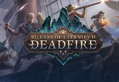 

Pillars of Eternity II: Deadfire EU Steam Altergift