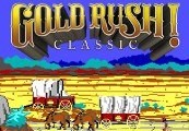 Gold Rush! Classic Steam CD Key