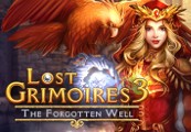 Lost Grimoires 3: The Forgotten Well Steam CD Key