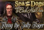 Sea Dogs: To Each His Own - Flying the Jolly Roger DLC Steam CD Key