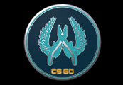 CS:GO - Series 1 - Guardian Collectible Pin