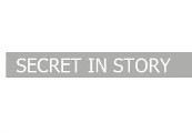 Secret In Story Steam CD Key