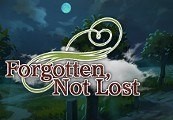 Forgotten, Not Lost Steam CD Key