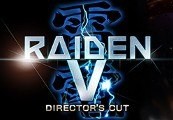 Raiden V: Director's Cut EU Steam CD Key